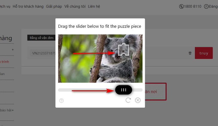 Cách tra cứu mã vận đơn Standard Express nhanh chóng, chính xác