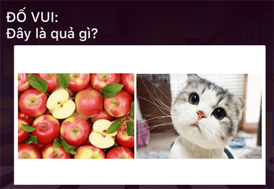 Đáp án thành phố MoMo