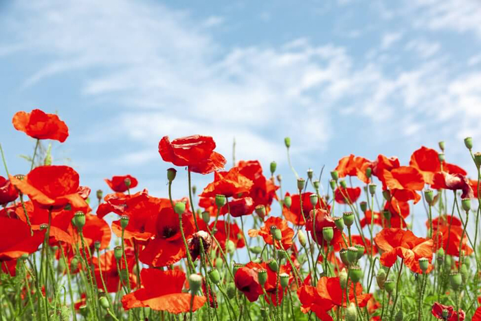 Những câu châm ngôn về cuộc sống