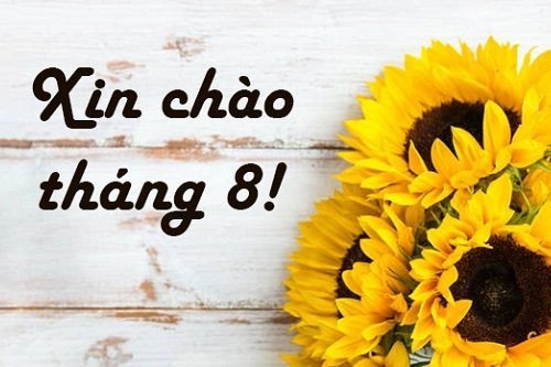 Stt hay về tháng 8
