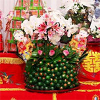 Sính lễ Sơn Tinh – Thủy Tinh đem đến để rước Mị Nương là?