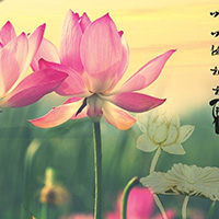 Mâm cúng lễ Vu Lan báo hiếu 2022 chuẩn nhất