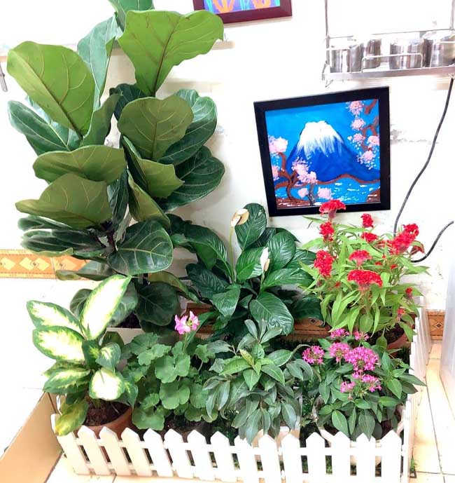 Trang trí lớp học tiểu học