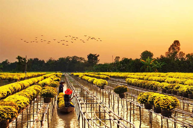  Sa Đéc (Đồng Tháp) nổi tiếng với làng nghề nào?