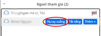Giơ tay trên Zoom
