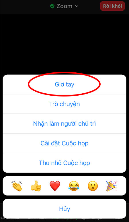 Hướng dẫn cách giơ tay phát biểu trên Zoom trên điện thoại