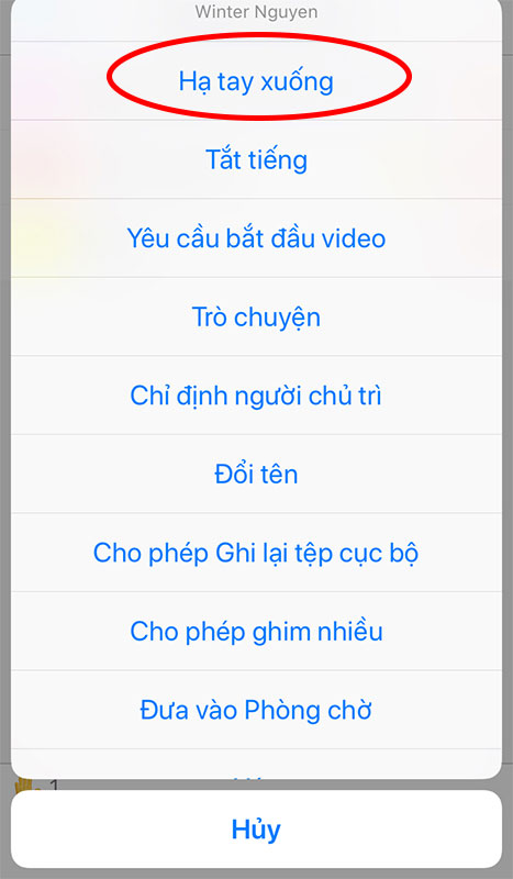 Raise Hand trên Zoom