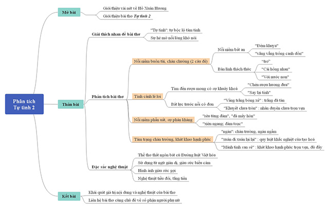 Sơ đồ tư duy phân tích Tự tình
