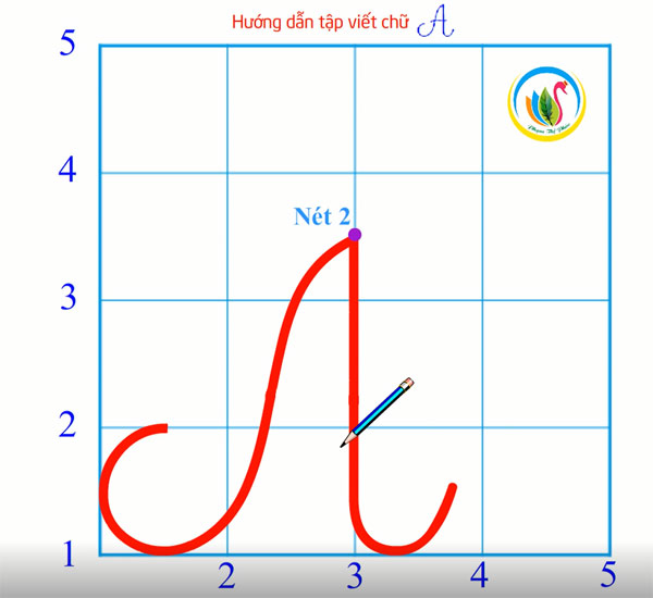 Bộ video hướng dẫn viết chữ hoa 2,5 li
