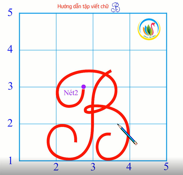 Video hướng dẫn viết chữ hoa cỡ nhỏ