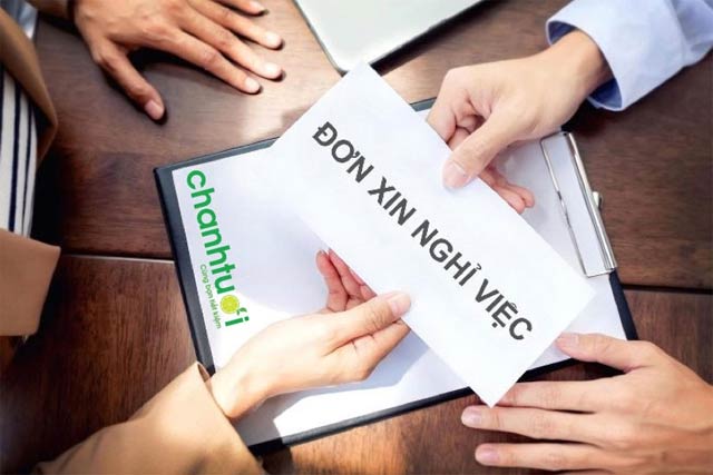 Hồ sơ xin thôi việc gồm những gì?