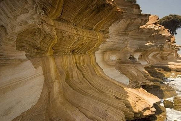 Sự khác nhau giữa phong hóa lí học, phong hóa hóa học và phong hóa sinh học