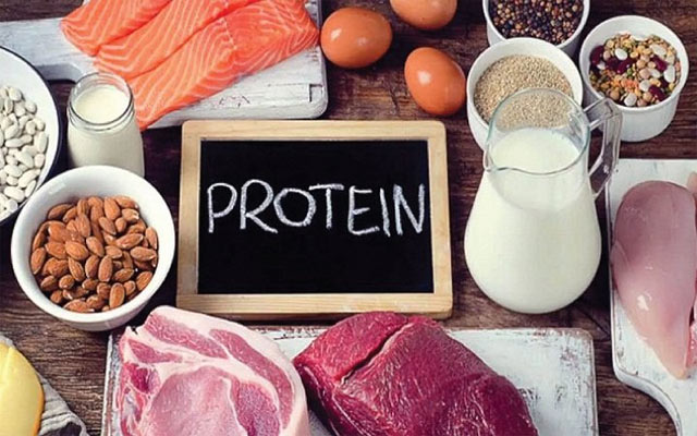 Đặc điểm chung của protein