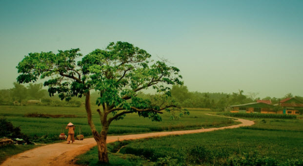 Viết đoạn văn 5 - 7 câu tả cảnh thanh bình của một miền quê hoặc thành phố mà em biết siêu hay