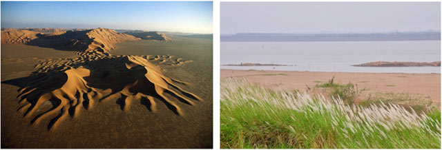 Các tác nhân ngoại lực bao gồm?