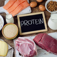 Tính đa dạng của protein được quy định bởi cái gì?
