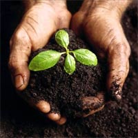 Đất trồng gồm mấy thành phần chính?