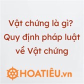 Vật chứng là gì? Vật chứng trong tố tụng hình sự