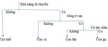 Đề thi giữa học kì 1 lớp 6 KHTN
