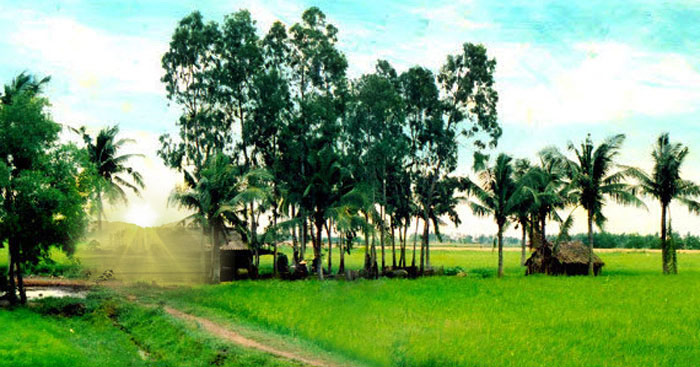 Viết một đoạn văn khoảng 5 câu tả một cảnh đẹp của quê em hoặc nơi em ở