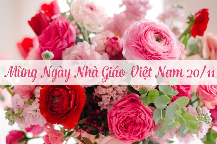 Các ngày lễ trong tháng 11