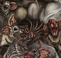 Vua chuột là gì?