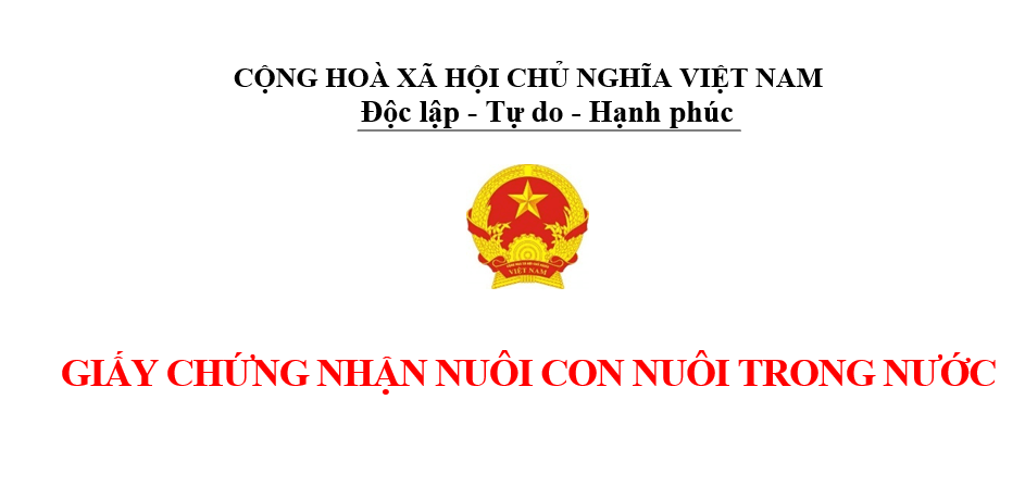 Giấy chứng nhận nuôi con nuôi trong nước