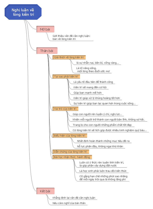 So do tu duy nghi luan ve long kien tri