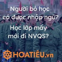 Người bỏ học có được nhập ngũ 2024? Bỏ học có được đi nghĩa vụ quân sự?