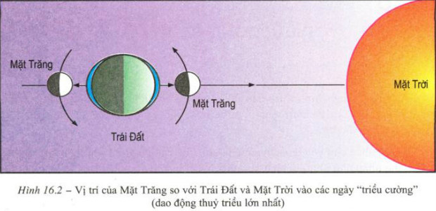 Câu hỏi trang 60 Địa Lí 10 Bài 16