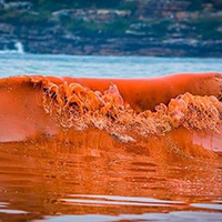 Vào các ngày có dao động thuỷ triều lớn nhất, ở Trái Đất sẽ thấy Mặt Trăng như thế nào?