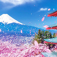 5 công cụ tìm kiếm hàng Nhật Bản không cần biết tiếng