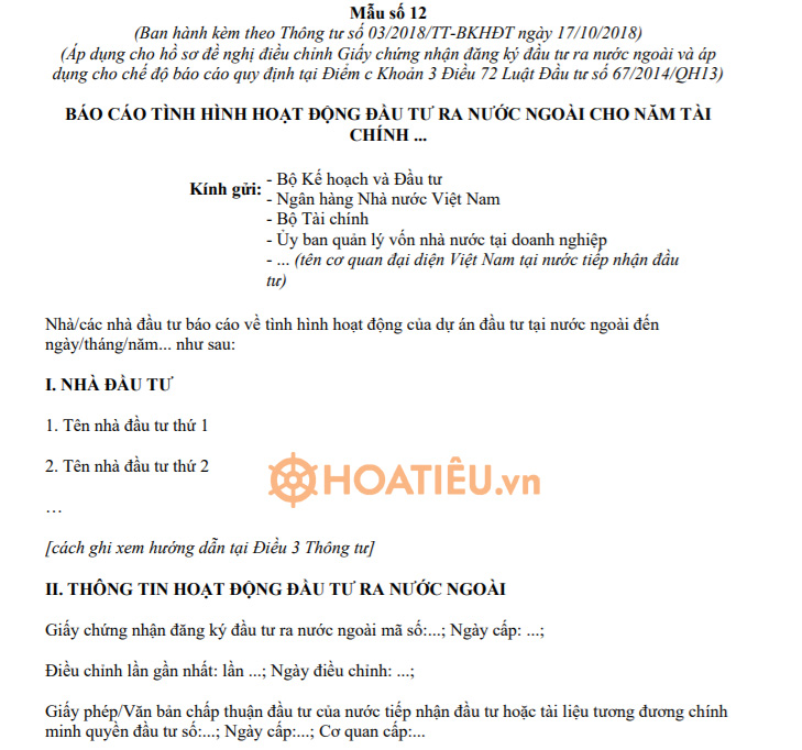 Mẫu báo cáo hoạt động đầu tư ra nước ngoài