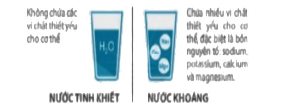 Đề kiểm tra KHTN lớp 6 sách Cánh Diều