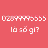 02899995555 là số gì? 02873065555 là số gì?