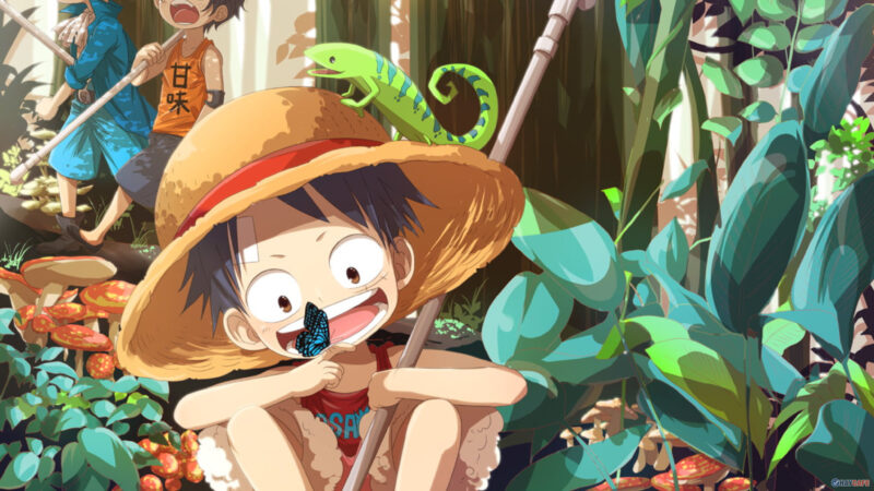 hình ảnh Luffy đẹp nhất