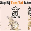 Năm 2022 con giáp nào bị tam tai?