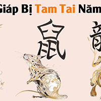 Năm 2022 con giáp nào bị tam tai?