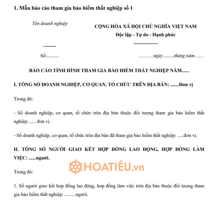 Báo cáo tình hình tham gia bảo hiểm thất nghiệp 2022