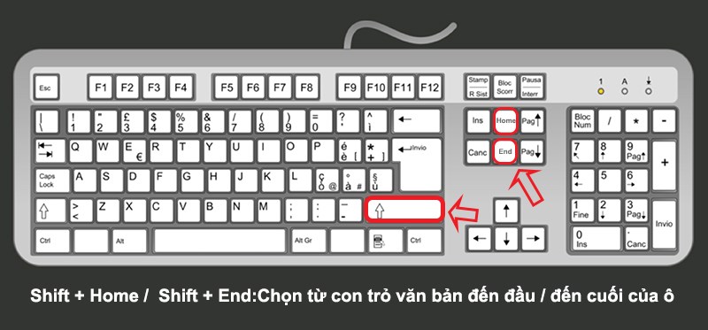 Các phím tắt Di chuyển trong Excel