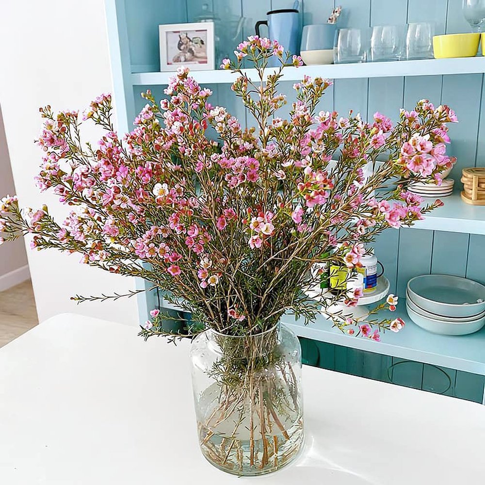 Hướng dẫn cắm hoa thanh liễu đẹp