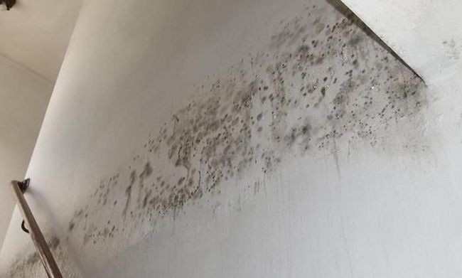 Cần kiêng kỵ những gì trong tháng Chạp