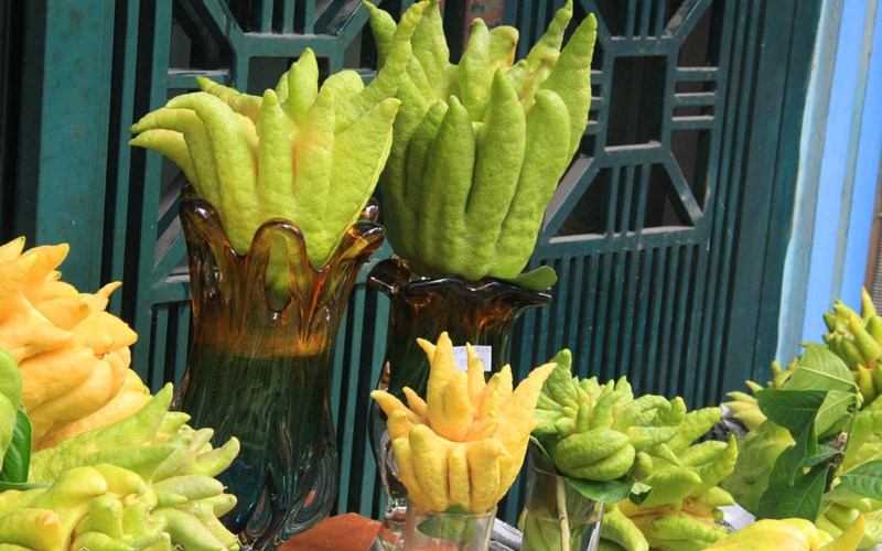 Cách chọn quả phật thủ chưng Tết