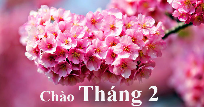 Hình ảnh chào tháng 2