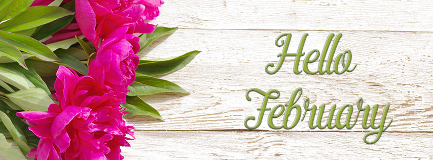 Ảnh bìa chào tháng 2