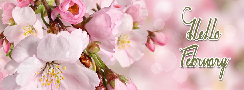 Ảnh bìa chào tháng 2