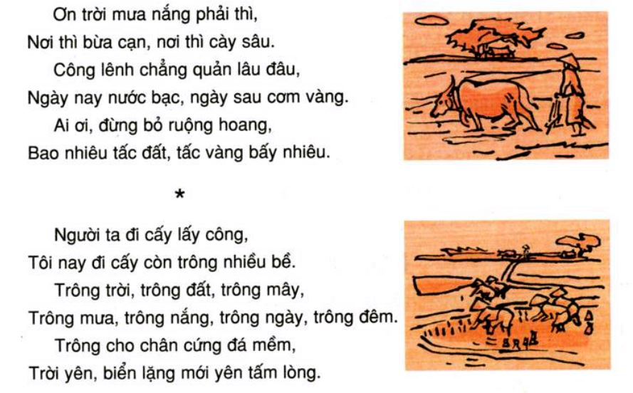 Tập đọc lớp 5 Ca dao về lao động sản xuất