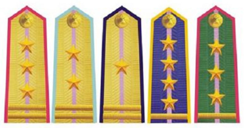 Cấp bậc quân hàm Quân nhân chuyên nghiệp