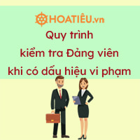 Quy trình kiểm tra Đảng viên khi có dấu hiệu vi phạm 2024