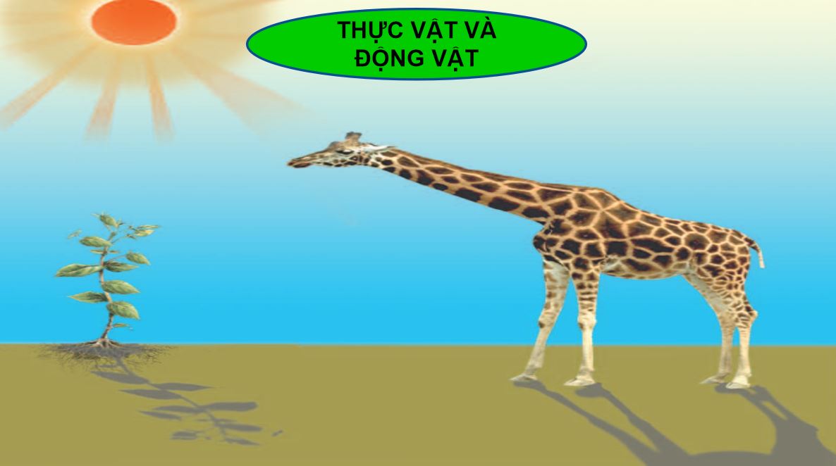 Bài tập cuối khóa mô đun 9 môn Khoa học